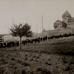 1909 zogen 22 Pferde den ersten Trafo zur Netzleitstelle der EKS auf dem Galgenbuck, Neuhausen am Rheinfall
